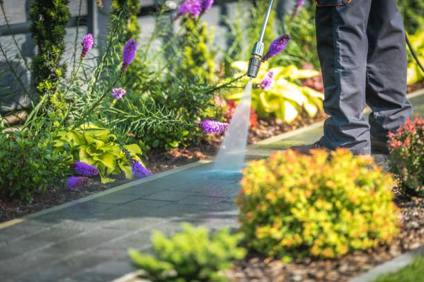 Best Pool Deck Cleaning  in Olyphant, PA