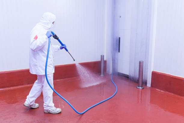 Best Gas Station Cleaning  in Olyphant, PA