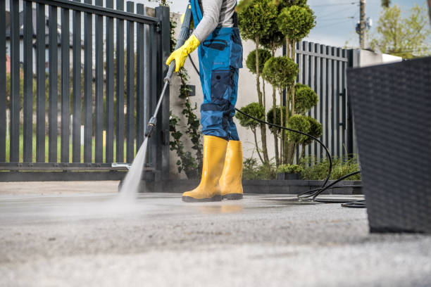 Best Sidewalk and Walkway Cleaning  in Olyphant, PA